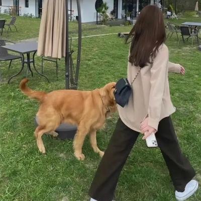 求爱敢死队